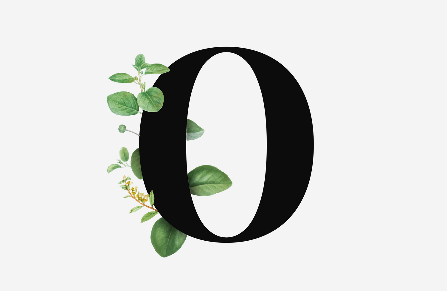 Gifts That Start with O: 22 Out-of-the-Ordinary Things to Give