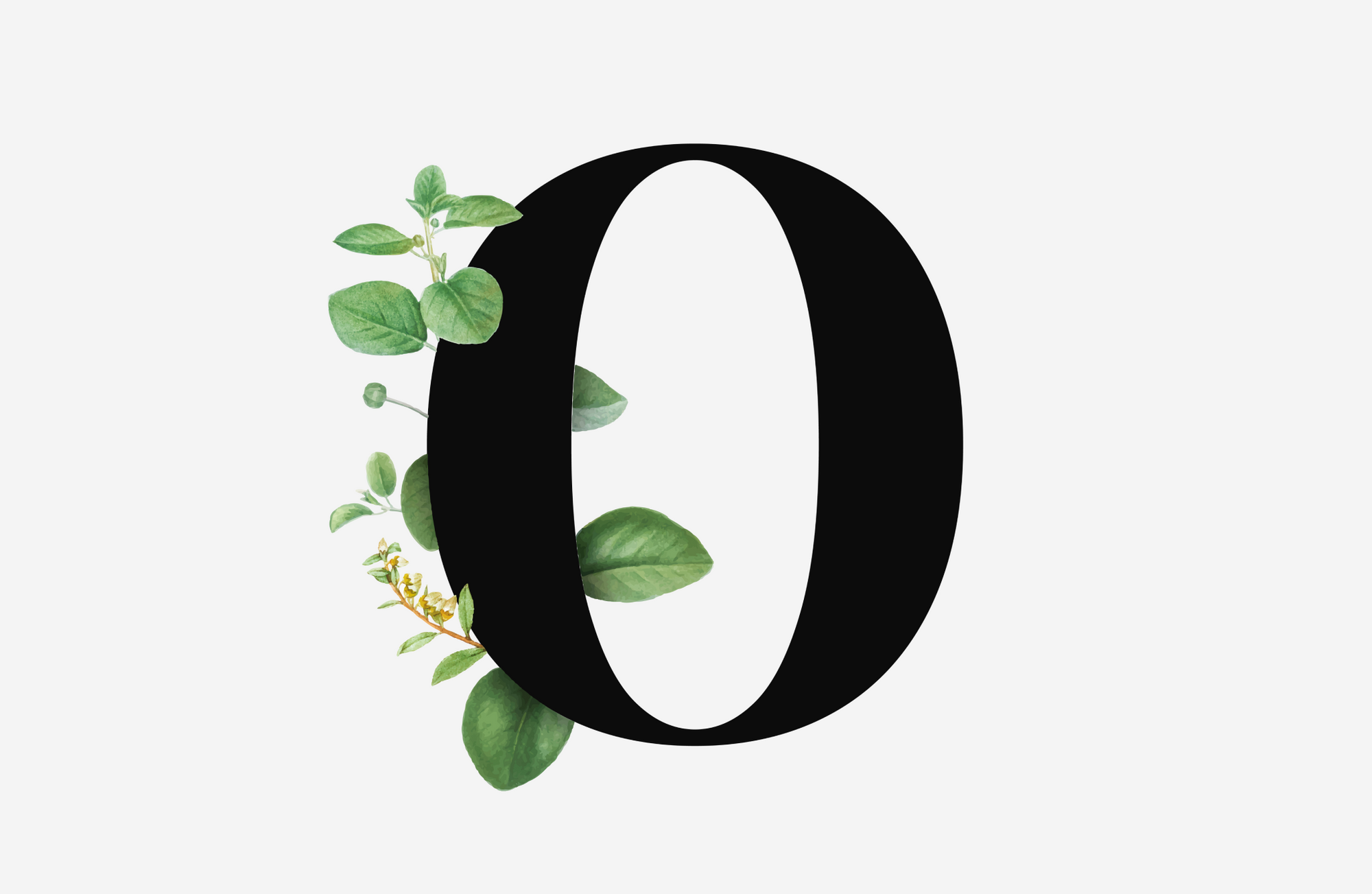 Gifts That Start with O: 22 Out-of-the-Ordinary Things to Give