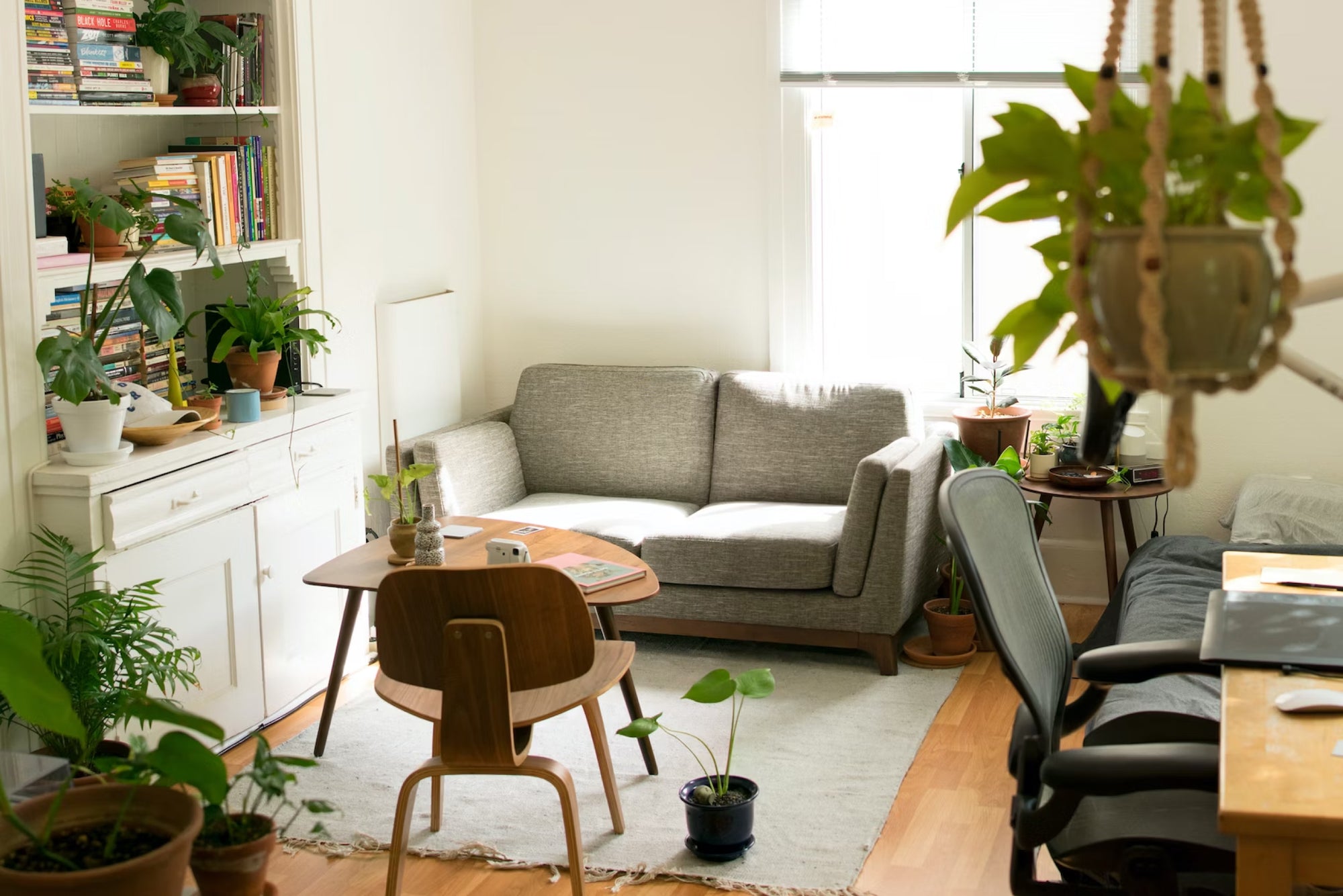 Apartments Decor