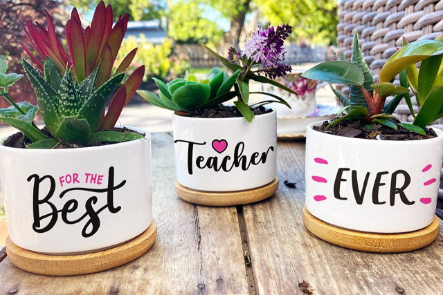 5 Innovative Teacher Gift Ideas Ways to Say Thank You 2023