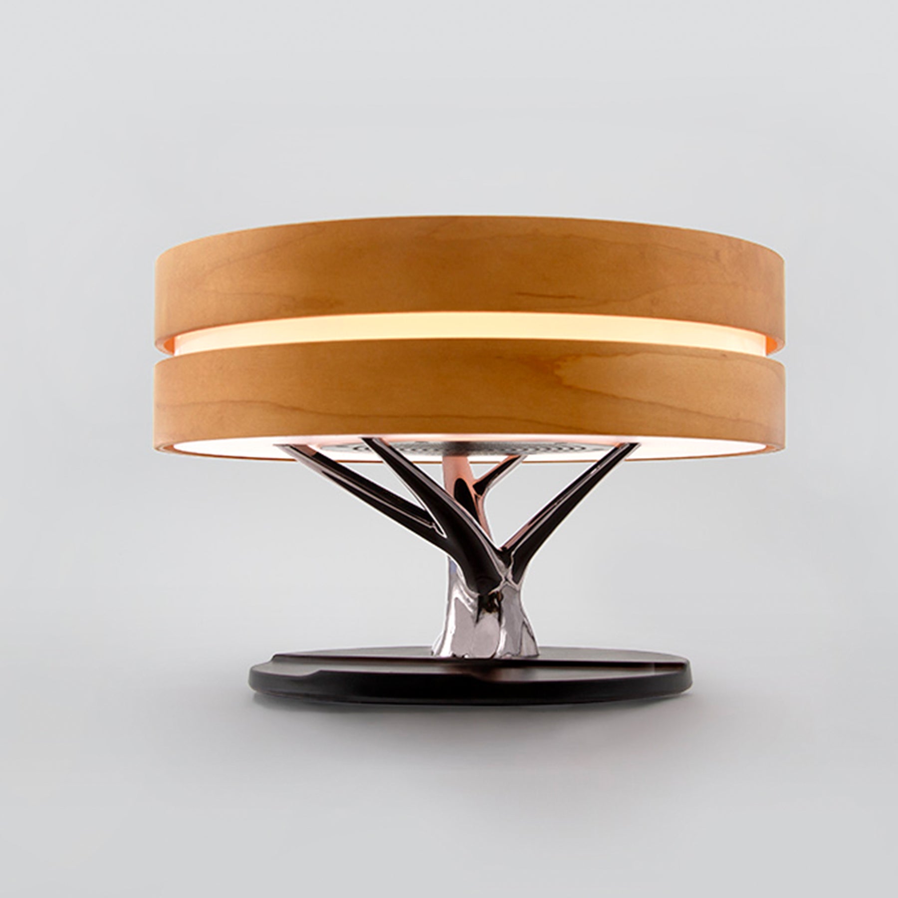 Circle of Life Lamp