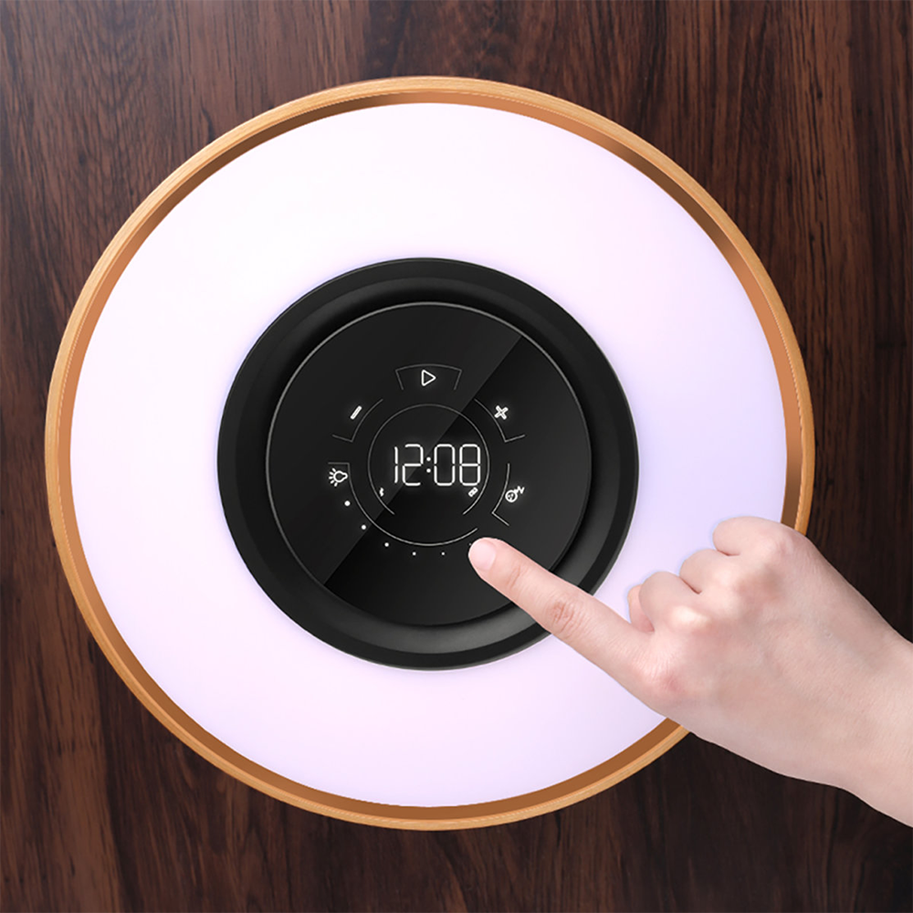Circle of Life Lamp