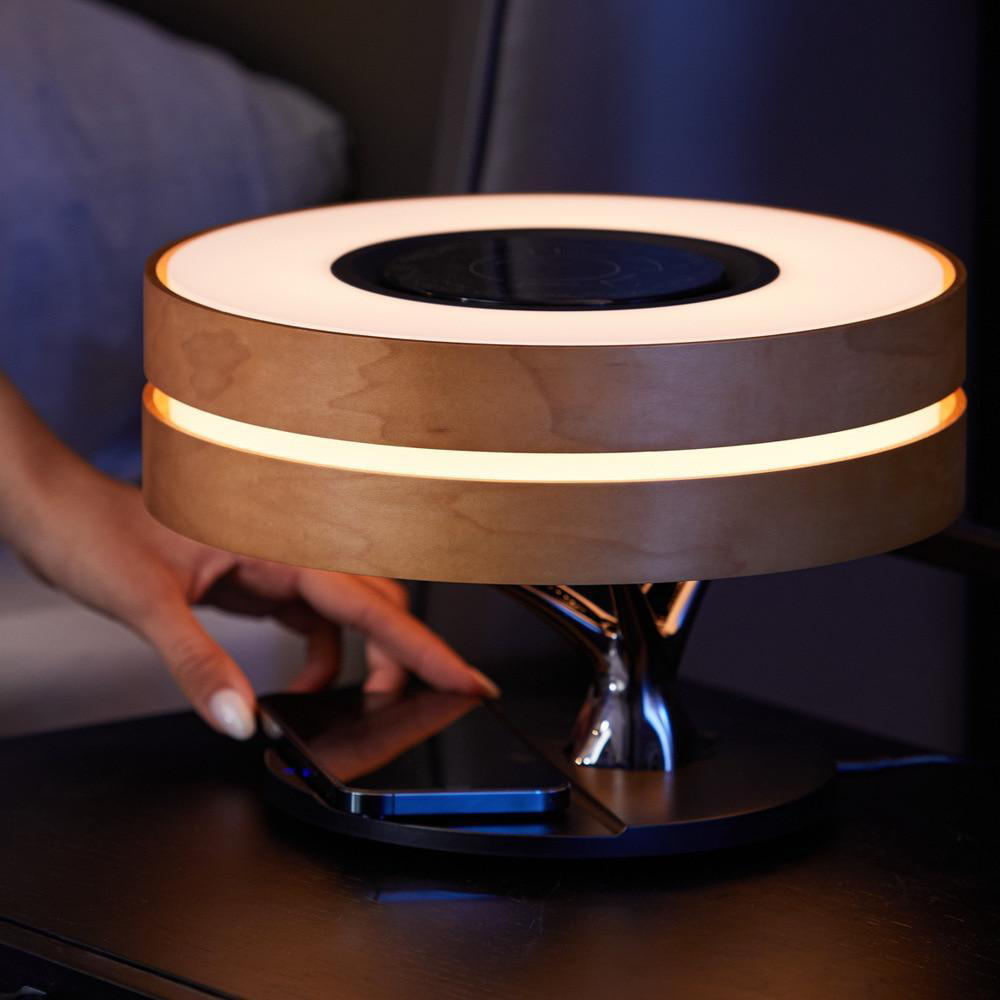 Circle of Life Lamp