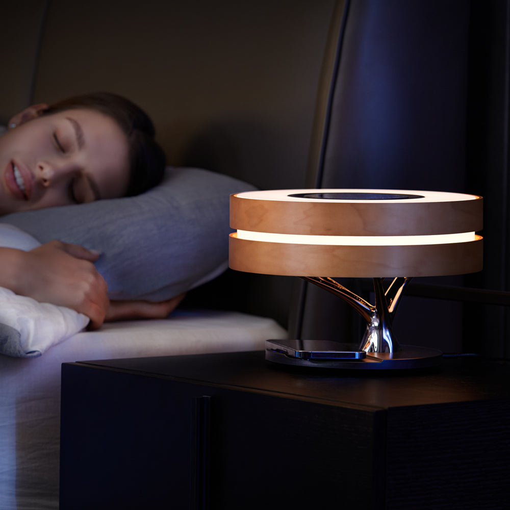 Circle of Life Lamp