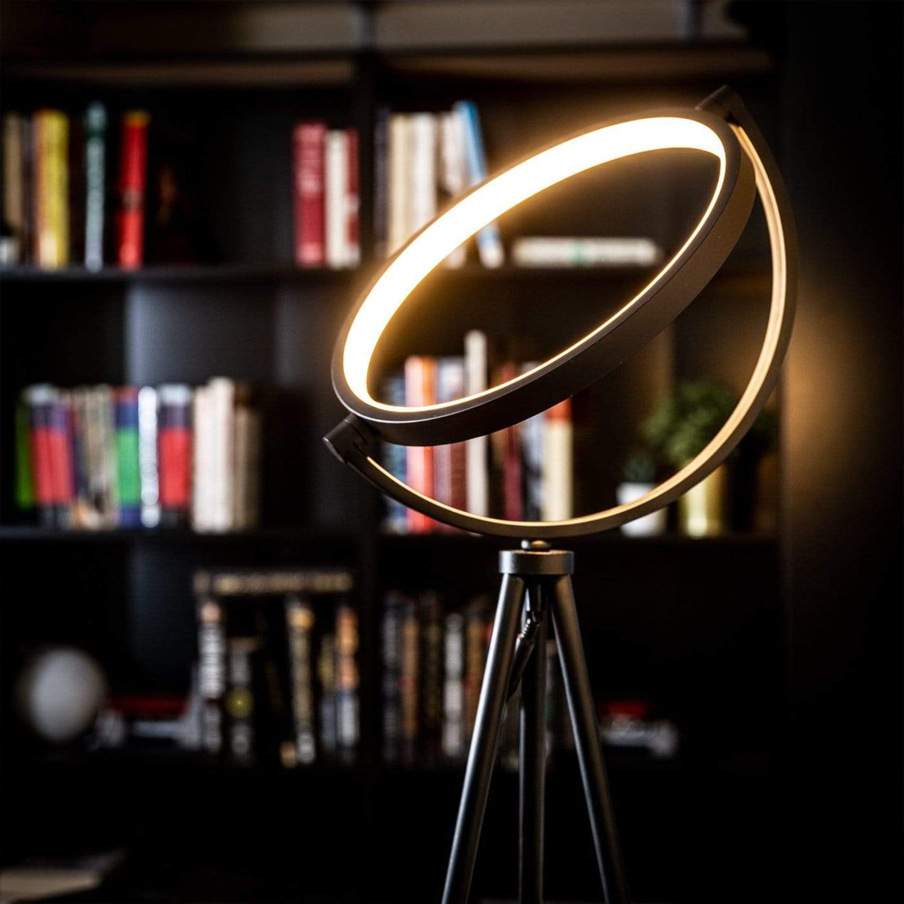 Halolux Floor Lamp