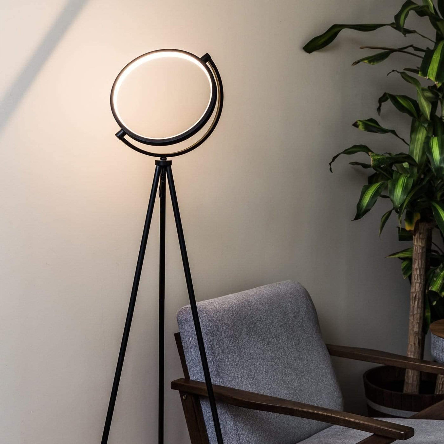 Halolux Floor Lamp