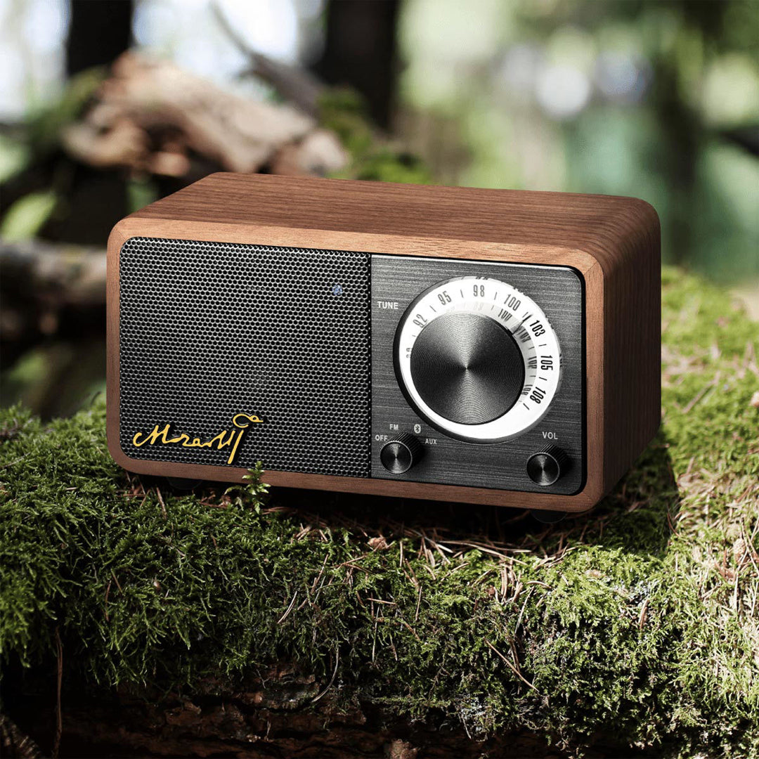 Retro Radio Soundbox Bluetooth for classical music