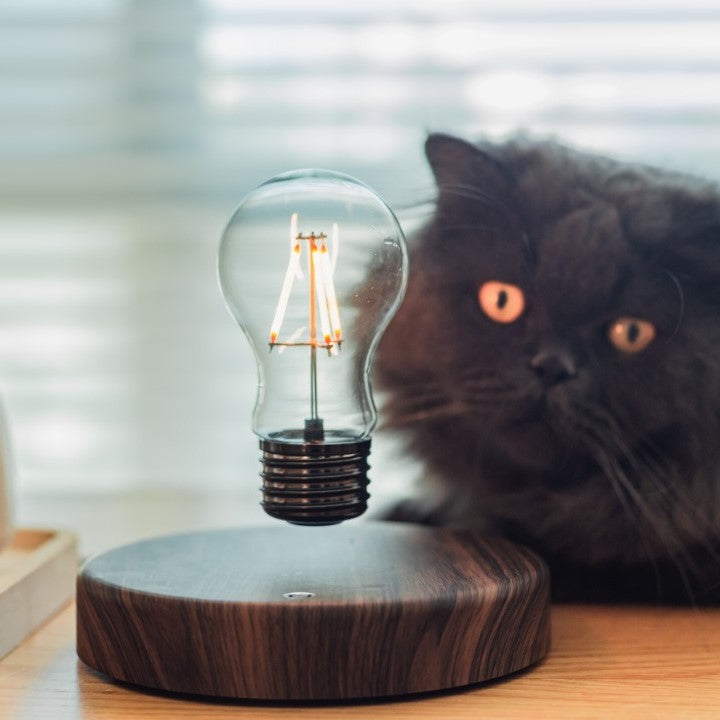 Floating Light Bulb Lamp