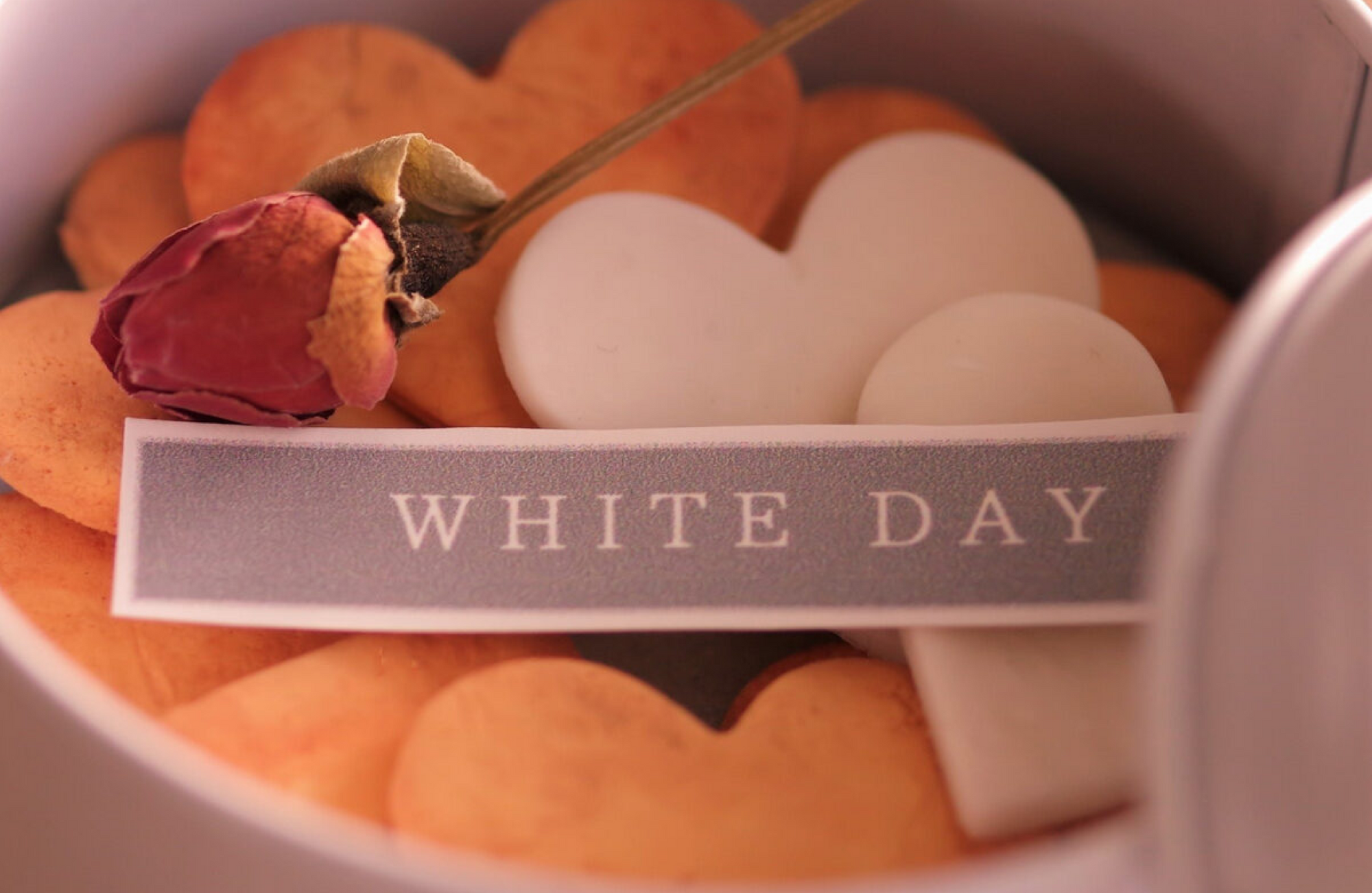 White Day, March 14th: What Is It and What Should I Do? (Men Must Read)