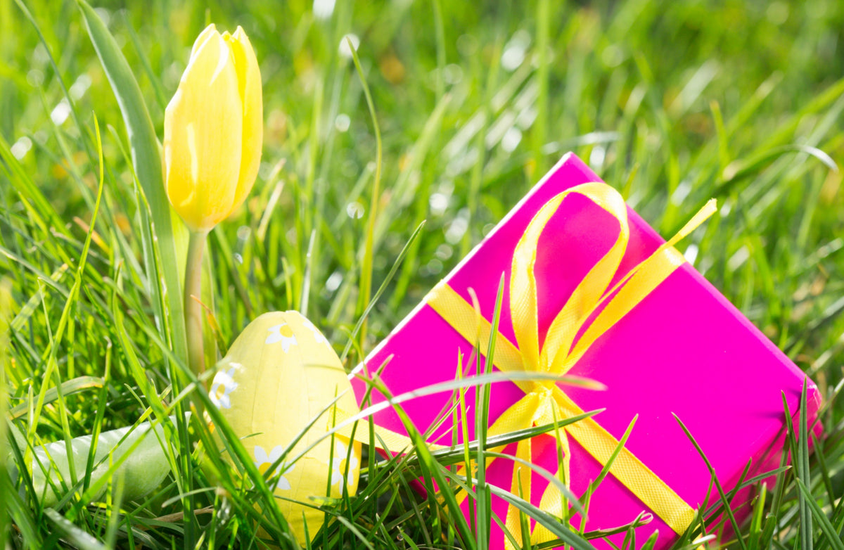 Fun Spring Gift Spring Gifting Guide: Perfect Presents to Celebrate the Season